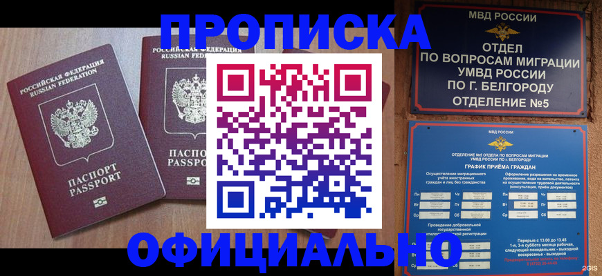 найти адрес прописки в Миньяре